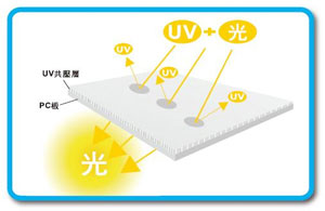 Anti-UV-Coating