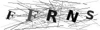 Please refresh your browser to see this image.